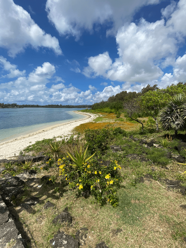 Ausblick Strand Shangri-La (21)